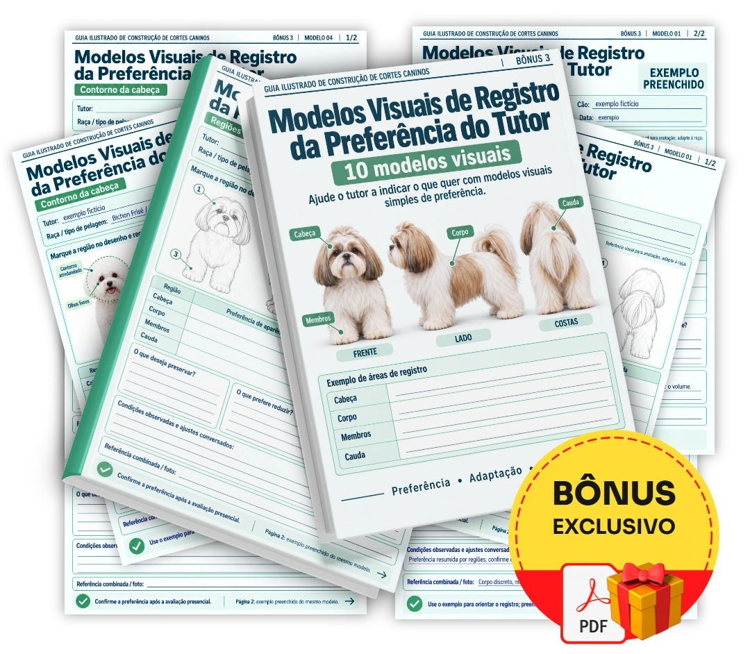 Modelos Visuais de Registro da Preferência do Tutor